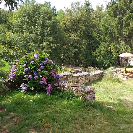 Gite Moulin De Ludieras Busserolles Екстер'єр фото
