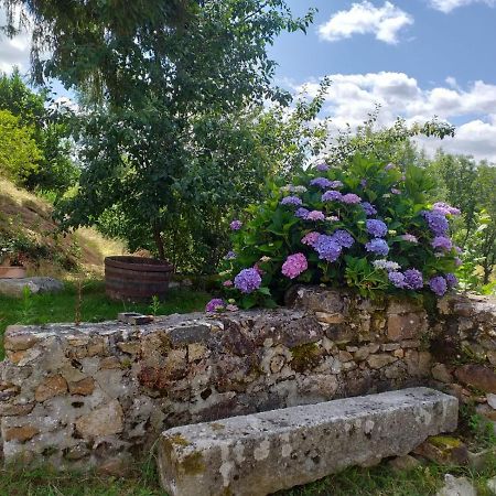 Gite Moulin De Ludieras Busserolles Екстер'єр фото