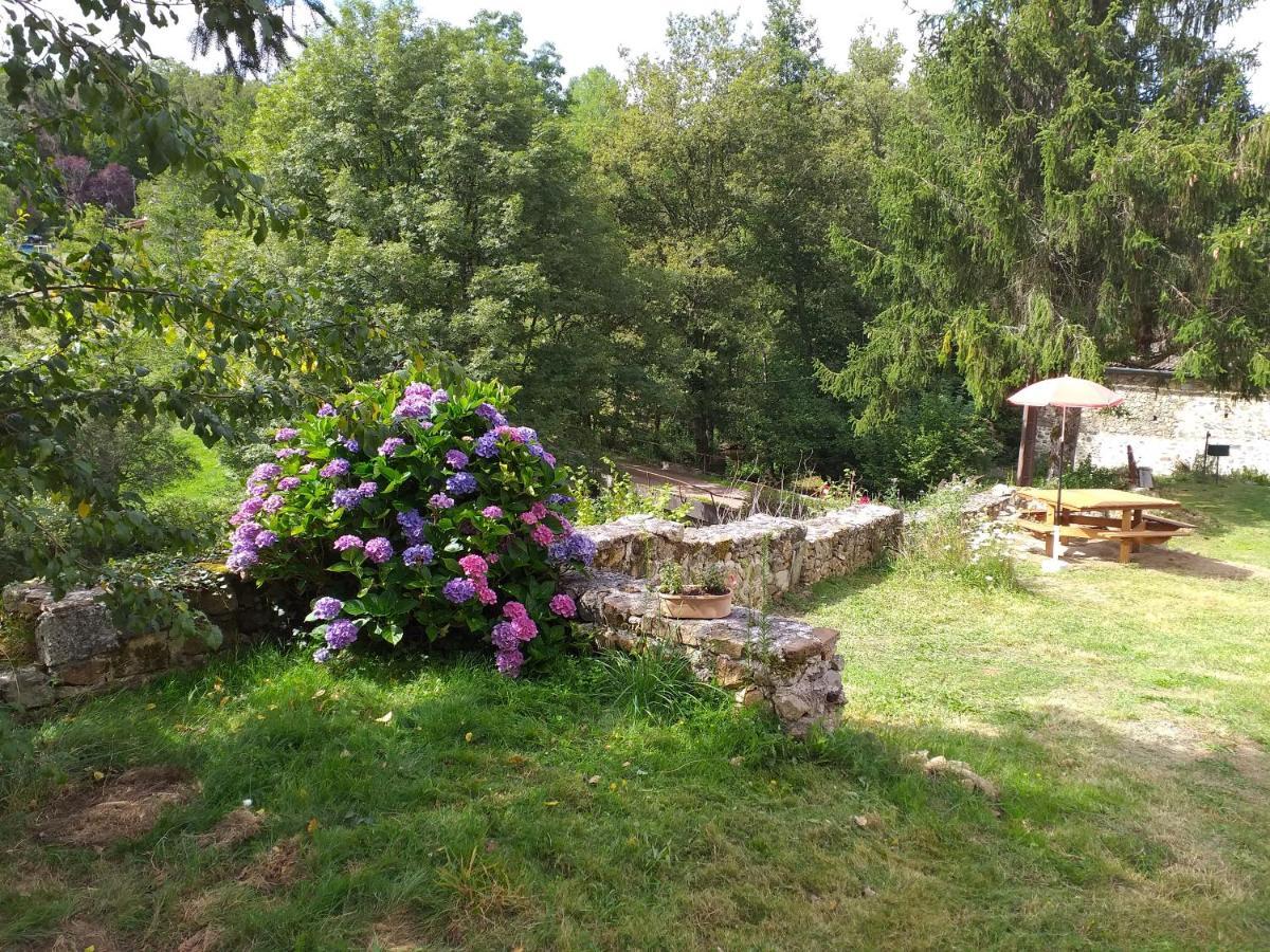 Gite Moulin De Ludieras Busserolles Екстер'єр фото