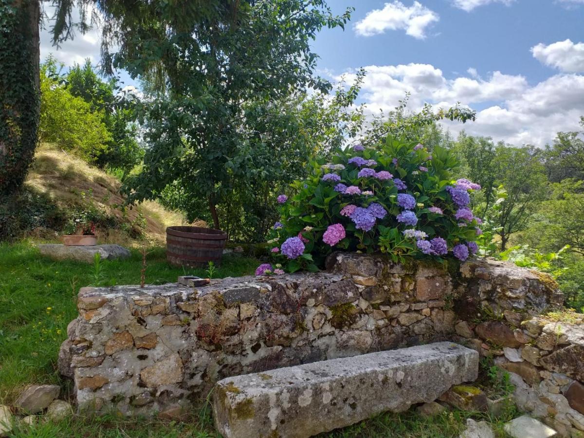 Gite Moulin De Ludieras Busserolles Екстер'єр фото